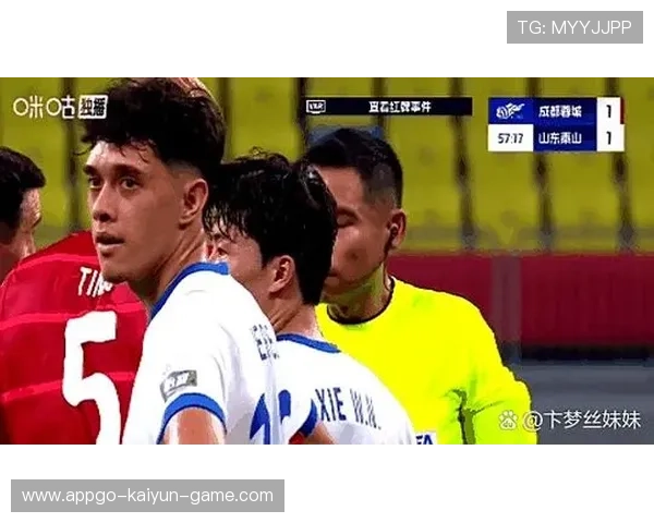 裁判判罚录像回放分析，裁判篮球赛回放